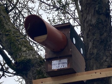 Budki lęgowe dla sowy pójdźki w BPK w ramach projektu „Z Przyrodą na Ty”, 
